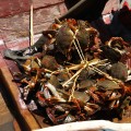 Les crabes qu’attrapent les pêcheurs sur le delta