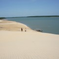 Des dunes de sable au milieu de la végétation du Delta de Parnaiba