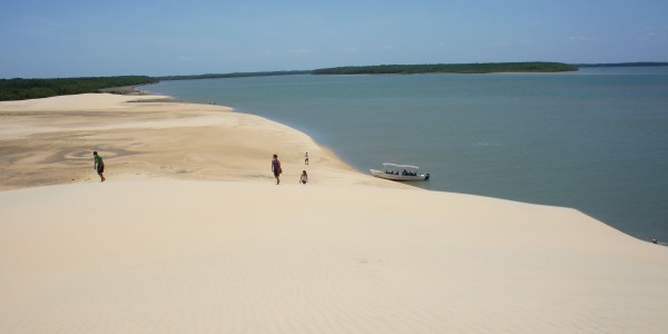 Des dunes de sable au milieu de la végétation du Delta de Parnaiba