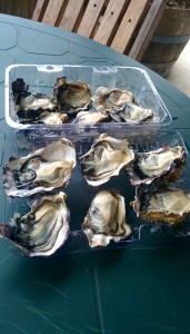 Repas - huîtres