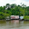 Habitations sur l’Amazone
