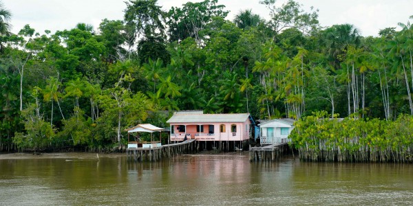 Habitations sur l’Amazone