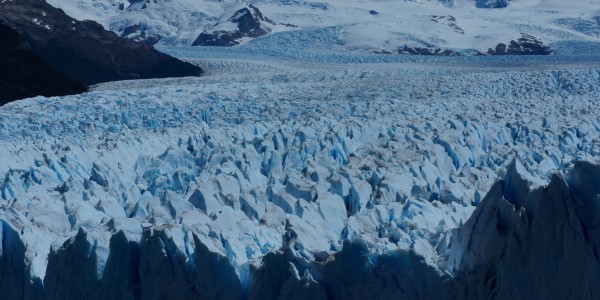 Un champs de « pics » du glacier