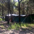 56. Inskip Point camping AU